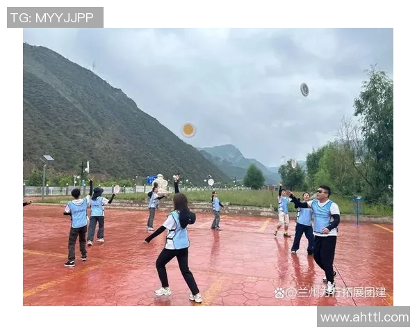 南京飞盘队团队协作表现的数据分析与提升策略探讨