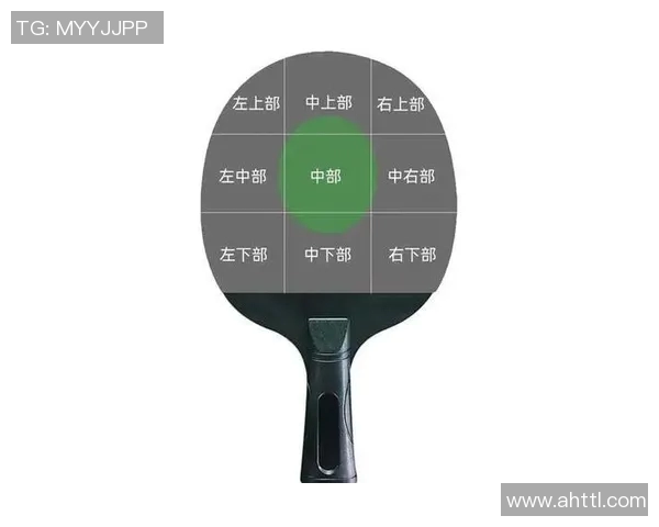 南京乒乓球队的节奏体系与战术运用深度剖析